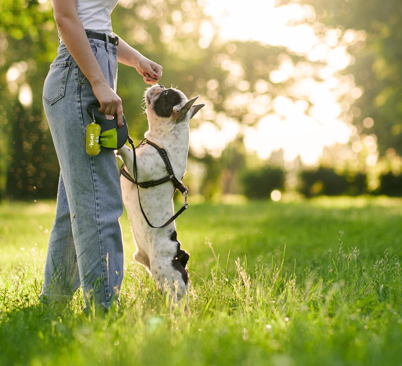 The Environmental Impact of Pet Waste and How to Fix It (Fast)