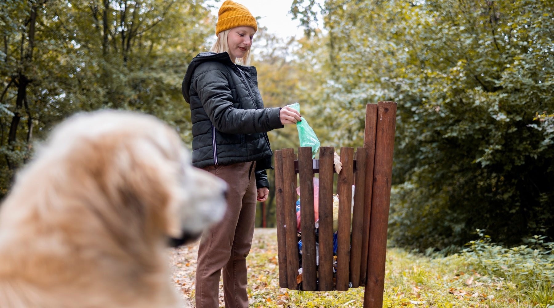 How to Compost Dog Poop with Compostable Bags: Safe and Sustainable Waste Management Tips - Pet N Pet ®