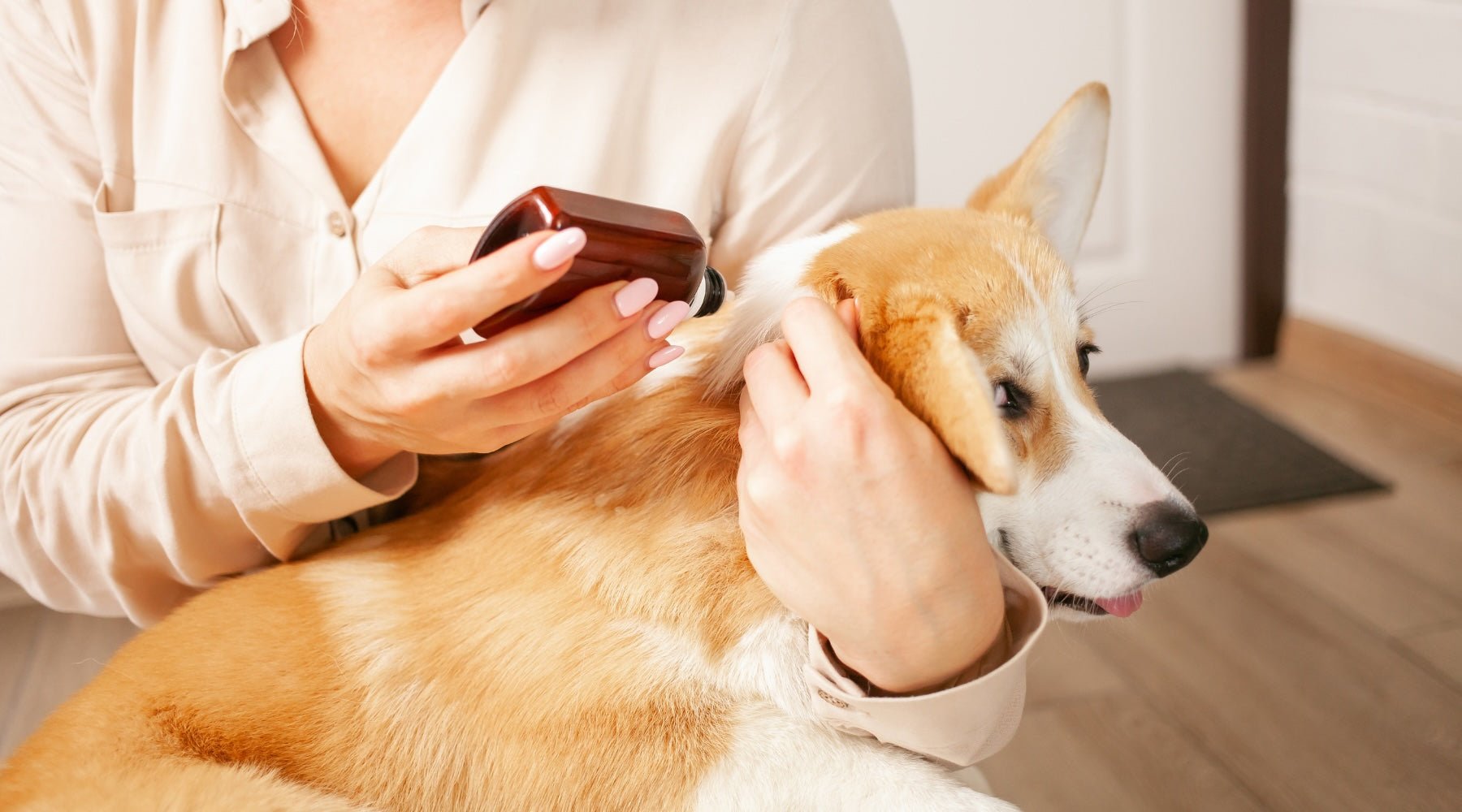 Natural and Effective Flea Repellents for Dogs - Pet N Pet ®