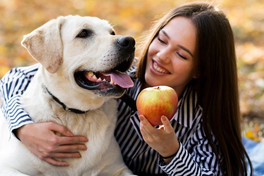 Preventing Lawn Damage from Dog Poop - Pet N Pet ®