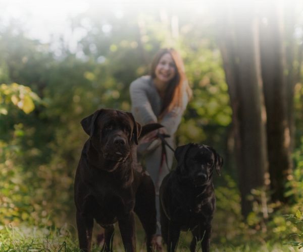 Woman with two dogs in a park setting
