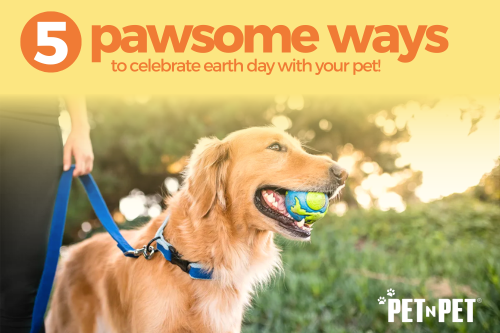 5 Pawsome Ways to Celebrate Earth Day with Your Pet!