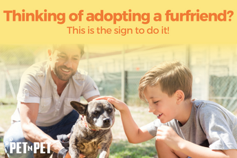 Thinking of Adopting a furfriend? This is the sign to do it!