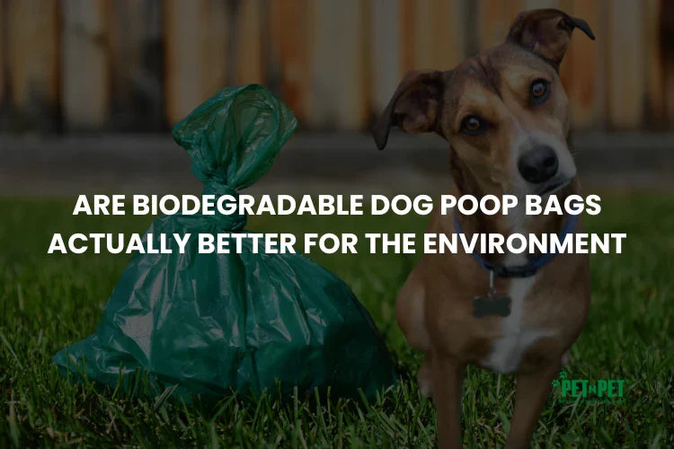 Are Biodegradable Dog Poop Bags Actually Better for the Environment?