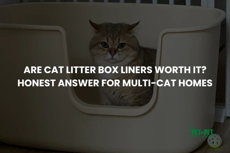 Are Cat Litter Box Liners Worth It? Honest Answer for Multi-Cat Homes