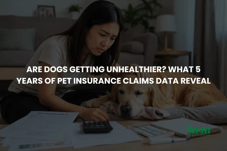 Are Dogs Getting Unhealthier? What 5 Years of Pet Insurance Claims Data Reveal