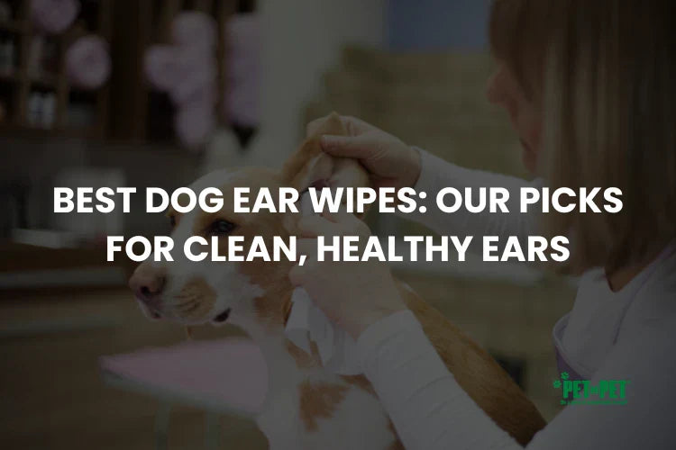 Best Dog Ear Wipes: Our Picks for Clean, Healthy Ears