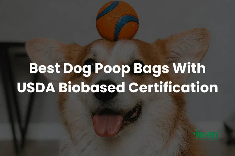 Best Dog Poop Bags With USDA Biobased Certification in 2026 (Reviewed)