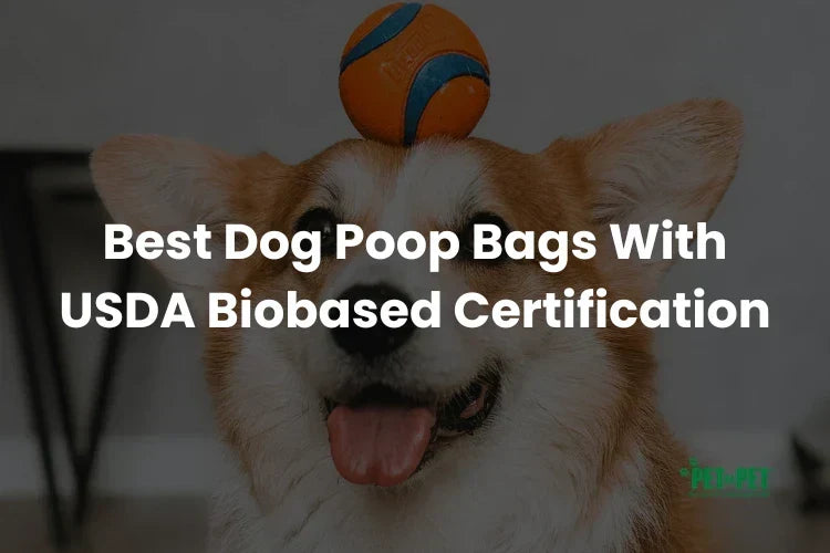 Best Dog Poop Bags: Our Picks for Certified, Leak-Free Cleanup (2026)