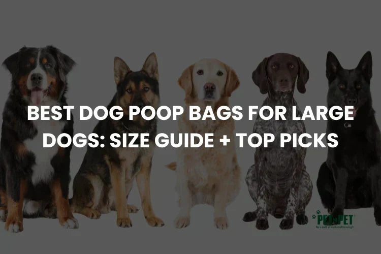 Poop Bags for Large Dogs: Sizing, Thickness, and What Actually Holds (2026)