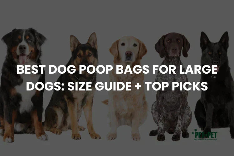 Best Dog Poop Bags for Large Dogs in 2026: Size Guide + Top Picks