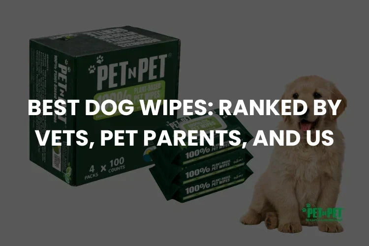The Best Dog Wipes in 2026: The Right Wipe for Each Job