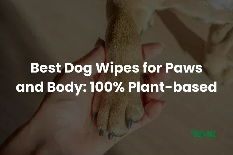 Dog Wipes for Paws and Body: Matching the Wipe to the Zone (2026)