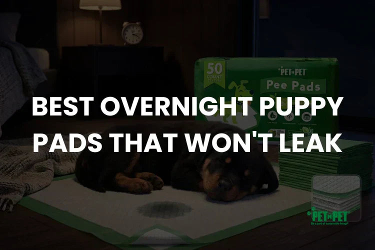 Best Overnight Puppy Pads That Won't Leak 2026