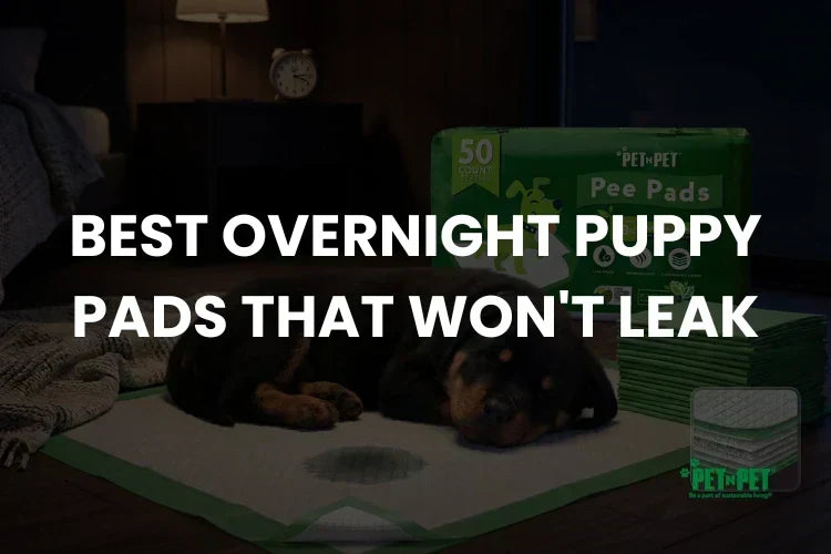 Overnight Puppy Pads: What Survives the Night (2026)