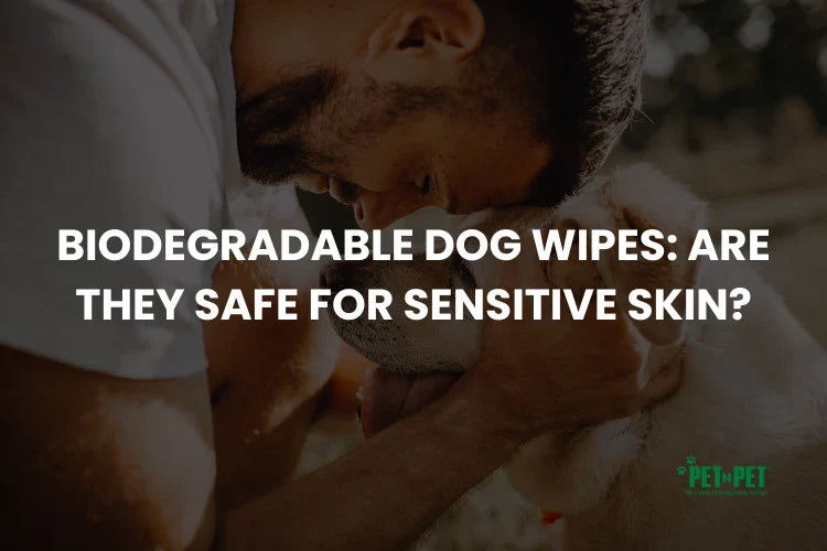 Biodegradable Dog Wipes: Are They Safe for Sensitive Skin?