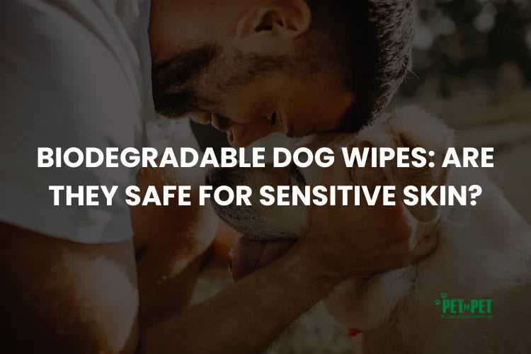 Biodegradable Dog Wipes: Are They Safe for Sensitive Skin?