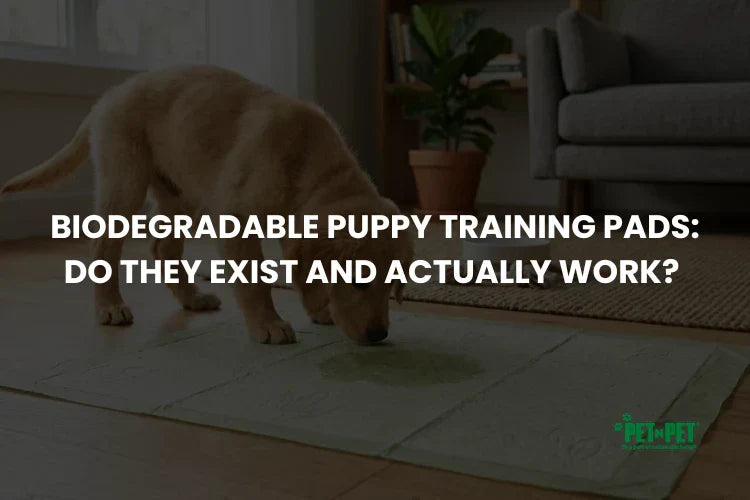 Biodegradable Puppy Training Pads: Do They Exist and Actually Work?