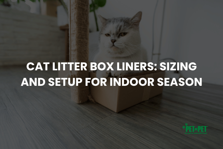 Cat Litter Box Liners: Sizing and Setup for Indoor Season