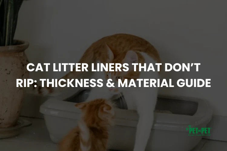 Cat Litter Liners That Don’t Rip: Thickness & Material Guide