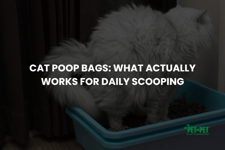 Cat Poop Bags: What Actually Works for Daily Scooping