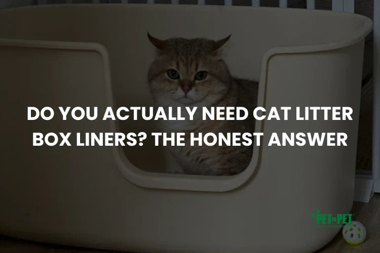 Do You Actually Need Cat Litter Box Liners? The Honest Answer