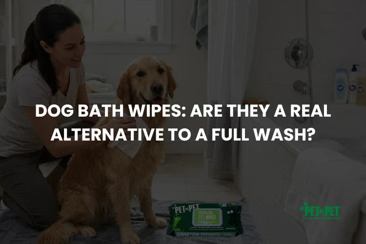Dog Bath Wipes: Are They a Real Alternative to a Full Wash?
