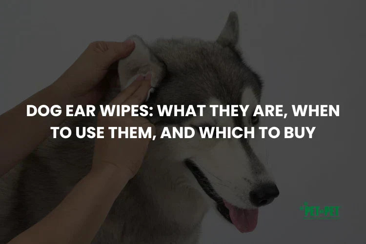 Dog Ear Wipes: What They Are, When to Use Them, and Which to Buy