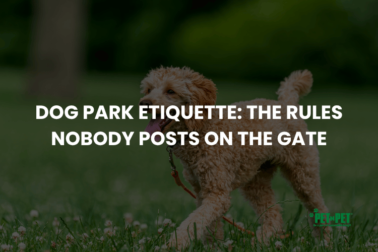 Dog Park Etiquette: The Rules Nobody Posts on the Gate