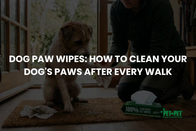 Dog Paw Wipes: How to Clean Your Dog's Paws After Every Walk