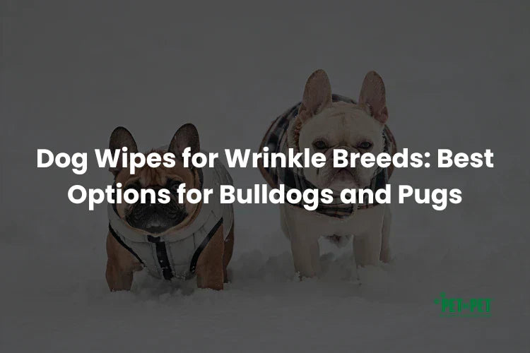 Dog Wipes for Wrinkle Breeds: Best Options for Bulldogs and Pugs