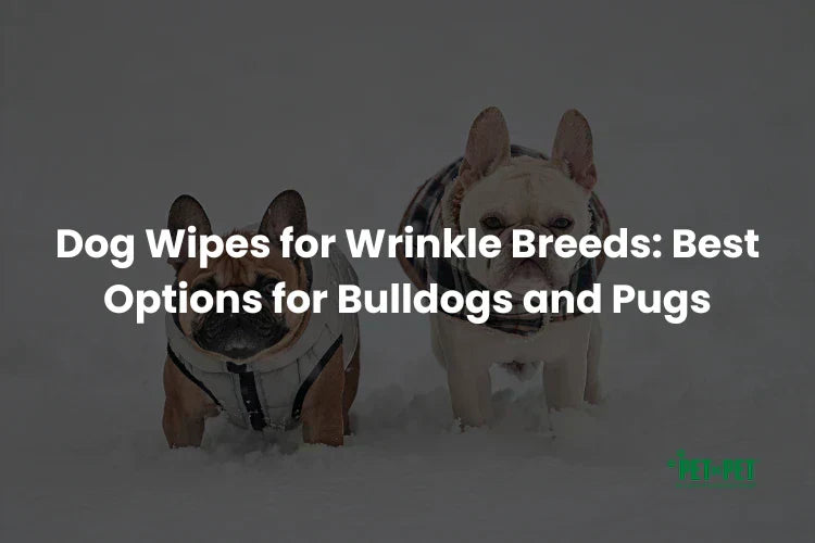 Dog Wipes for Wrinkle Breeds: Best Options for Bulldogs and Pugs
