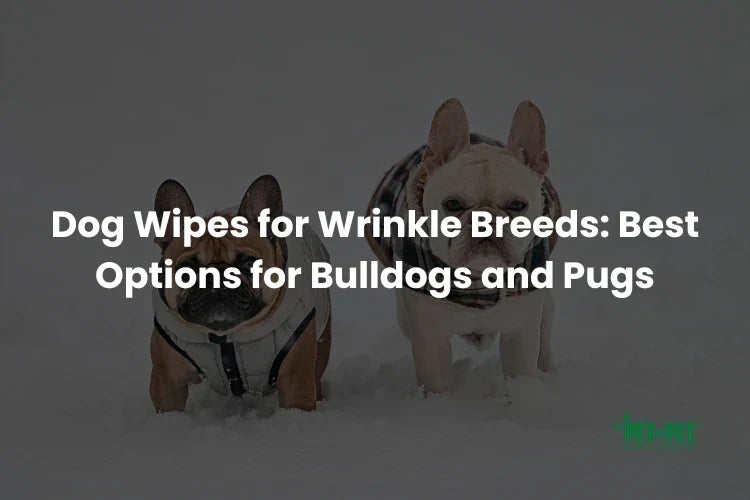How to Clean Bulldog and Pug Wrinkles (and What to Wipe With)