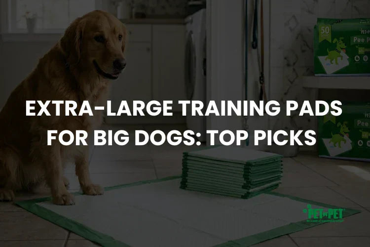 Extra-Large Training Pads for Big Dogs: Top Picks 2026