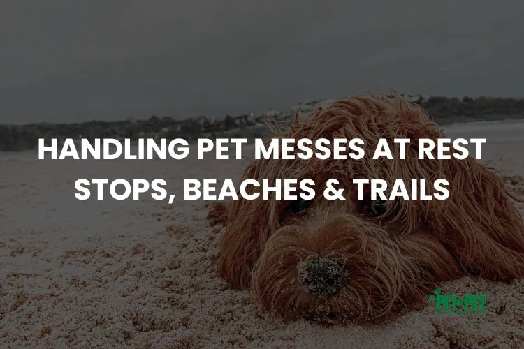 Handling Pet Messes at Rest Stops, Beaches & Trails