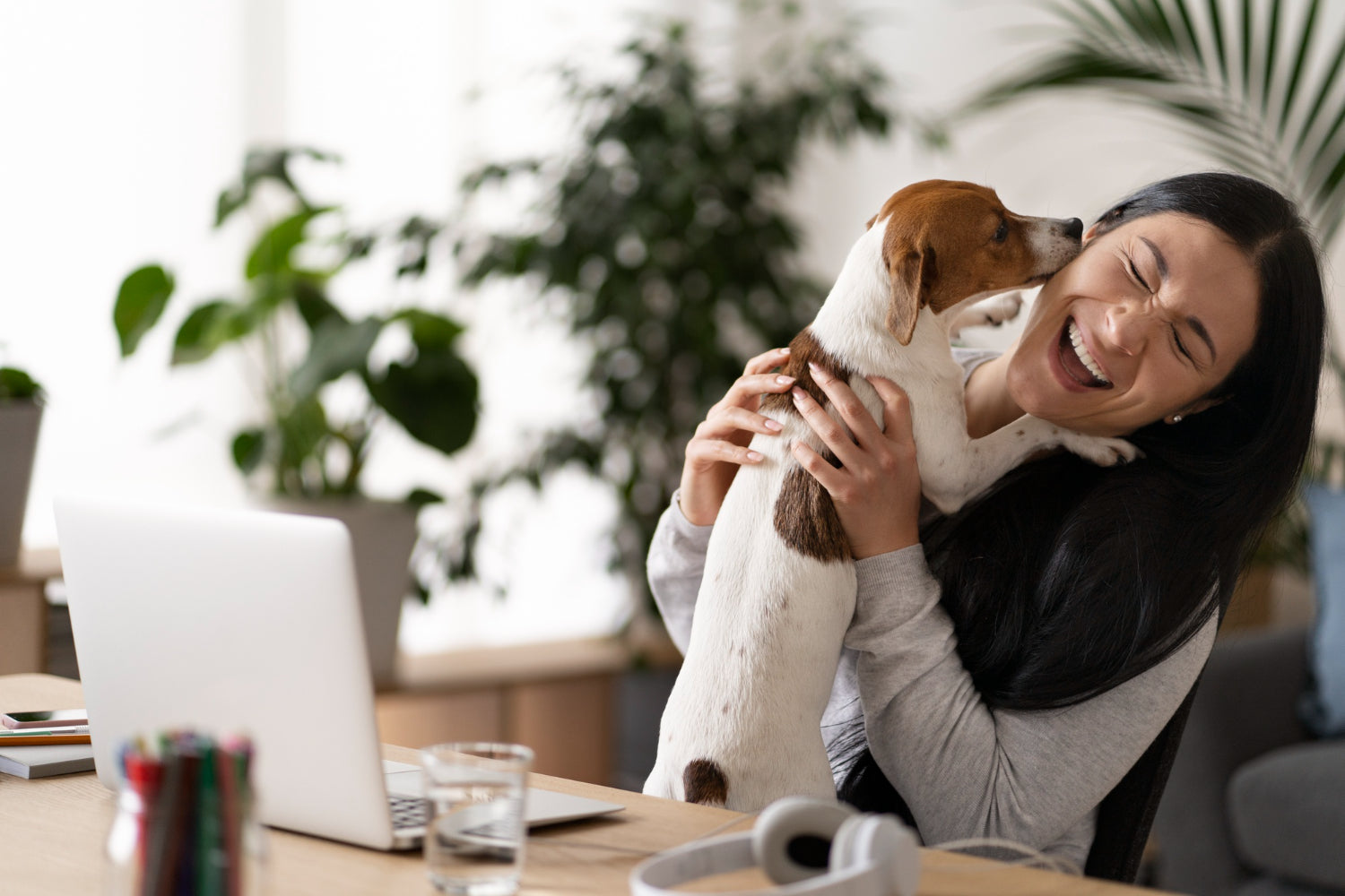 Health and Wellness Supplements for Pets: What You Need to Know