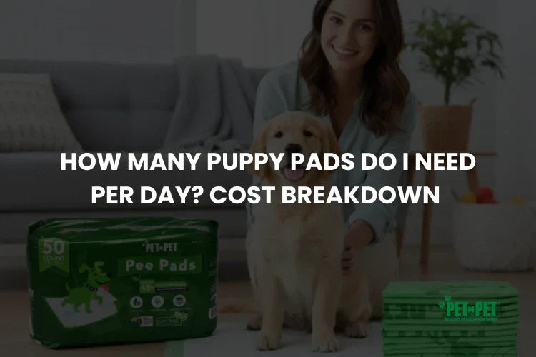 How Many Puppy Pads Do I Need Per Day? Cost Breakdown
