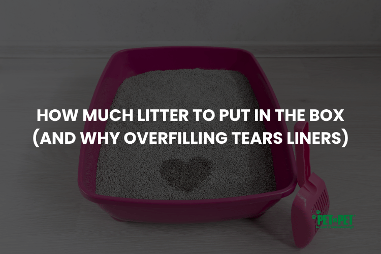 How Much Litter to Put in the Box (And Why Overfilling Tears Liners)