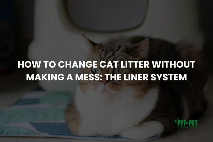 How to Change Cat Litter Without Making a Mess: The Liner System