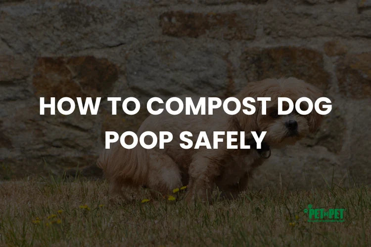 How to Compost Dog Poop Safely