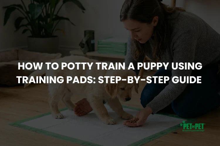 How to Potty Train a Puppy Using Training Pads: Step-by-Step Guide