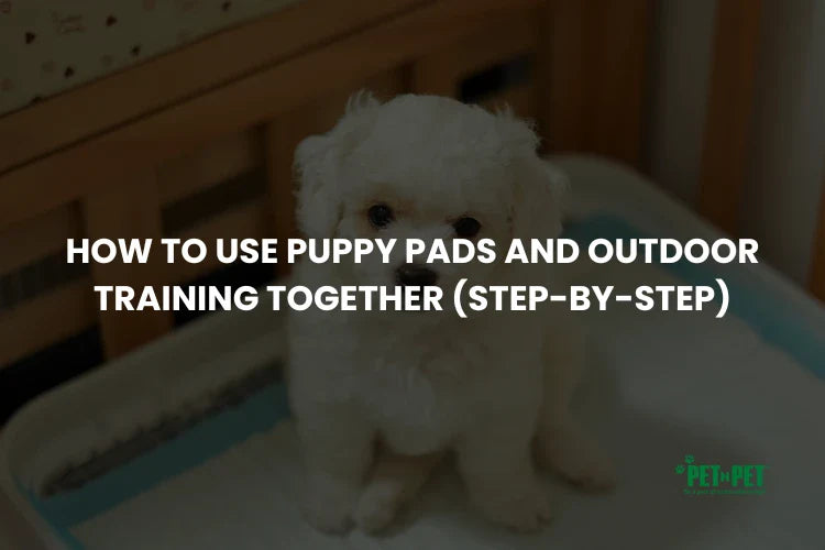 How to Use Puppy Pads and Outdoor Training Together (Step-by-Step)