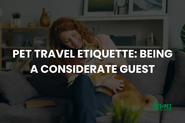 Pet Travel Etiquette: Being a Considerate Guest