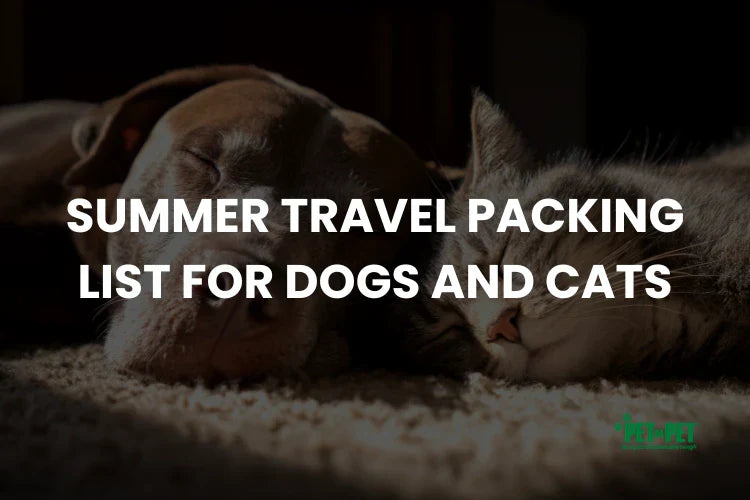 Summer Travel Packing List for Dogs and Cats