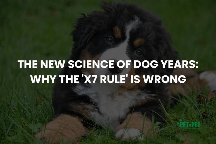 The New Science of Dog Years: Why the 'x7 Rule' Is Wrong