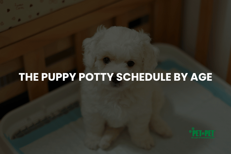 The Puppy Potty Schedule by Age