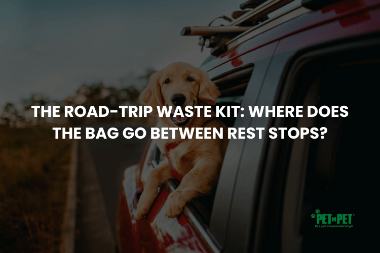 The Road-Trip Waste Kit: Where Does the Bag Go Between Rest Stops?