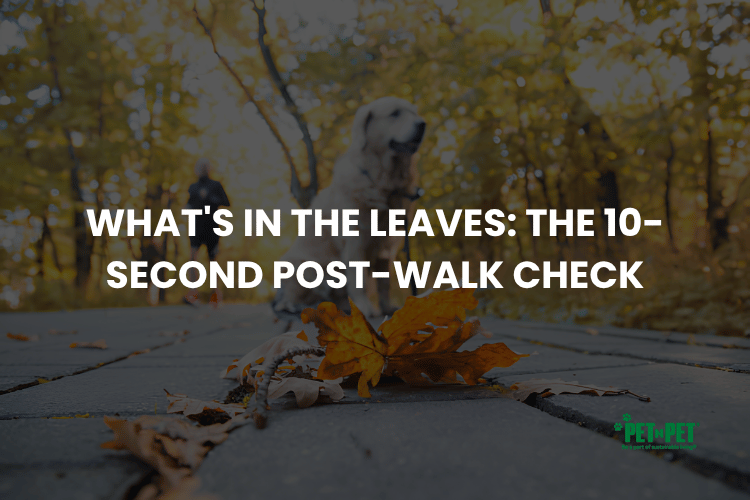 What's in the Leaves: The 10-Second Post-Walk Check