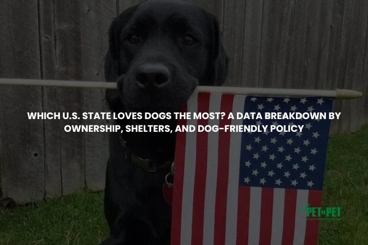 Which U.S. State Loves Dogs the Most? A Data Breakdown