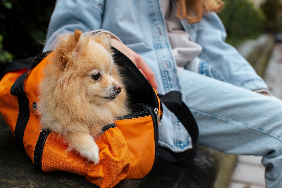 Backpack Carriers for Dogs: Are They the Perfect Fit for You and Your Pup? - Pet N Pet ®